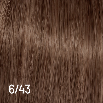 Techno Color 100ml 6/43 NETTO