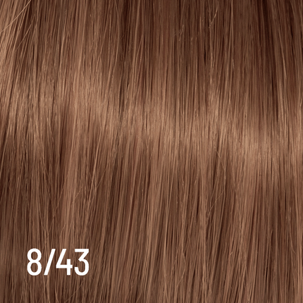 Techno Color 100ml 8/43 NETTO