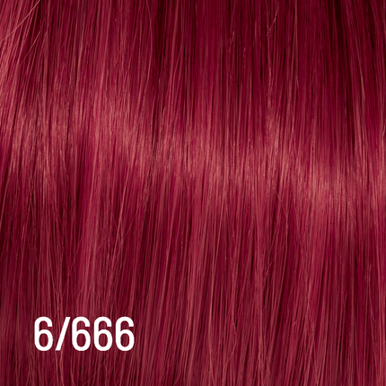 Techno Color 100ml 6/666 NETTO