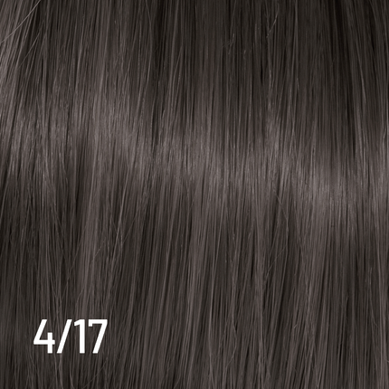 Techno Color 100ml 4/17 NETTO