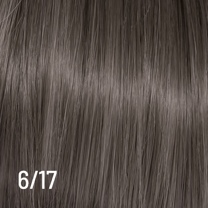 Techno Color 100ml 6/17 NETTO