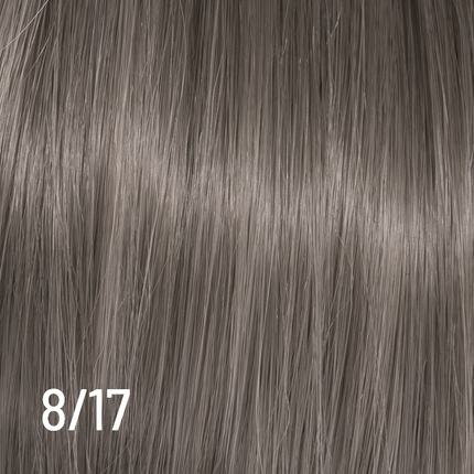 Techno Color 100ml 8/17 NETTO