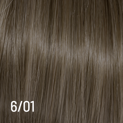 Techno Color 100ml 6/01 New NETTO