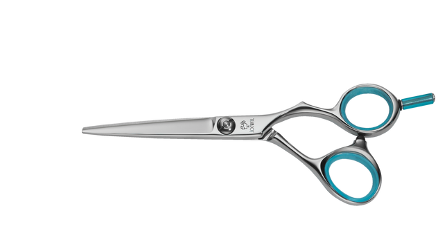 Joewell Liberty Control 6 LBC-6