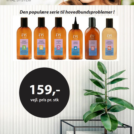 A5 seddel FVS Vejl. pris